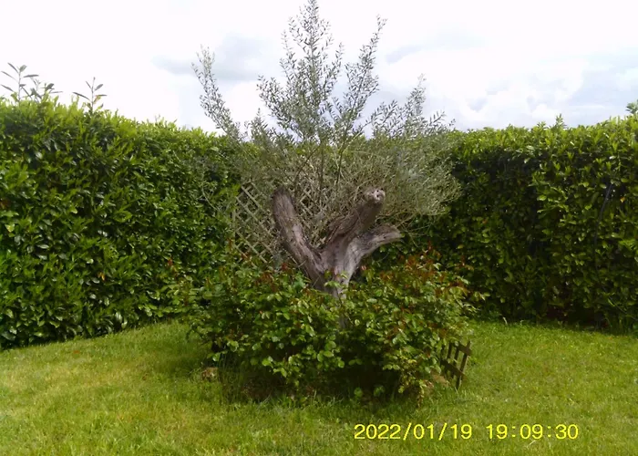 Belvedere Vallata Affitti Brevi