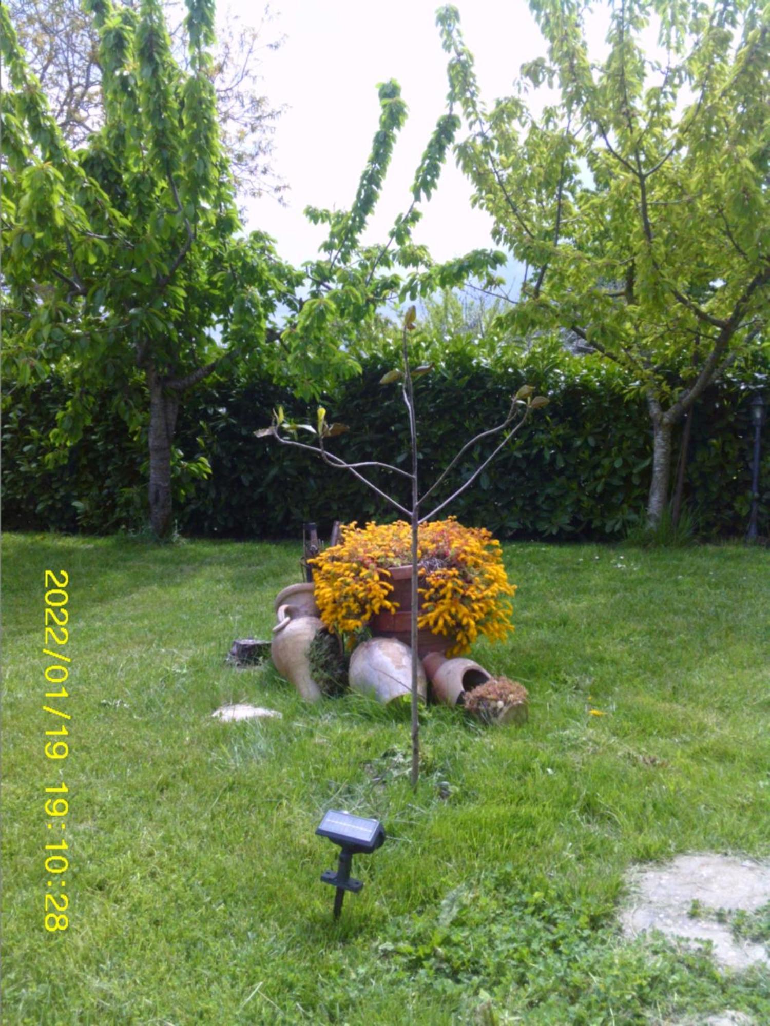 Belvedere Affitti Brevi *
