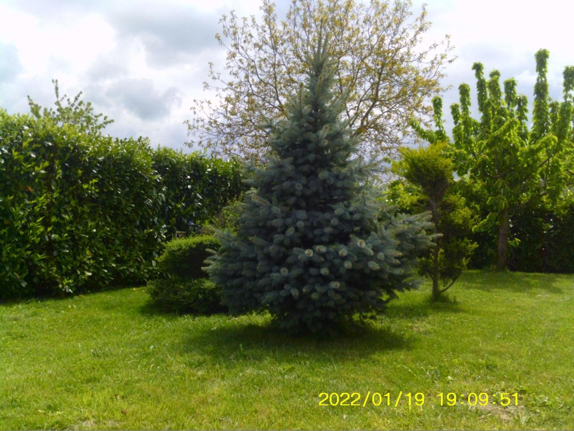 Holiday home Belvedere Affitti Brevi *